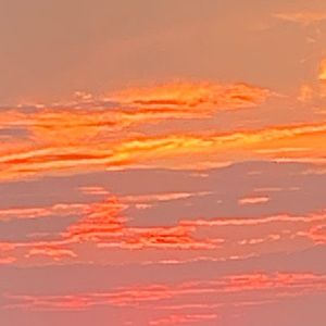 Meet your Posher, Ali